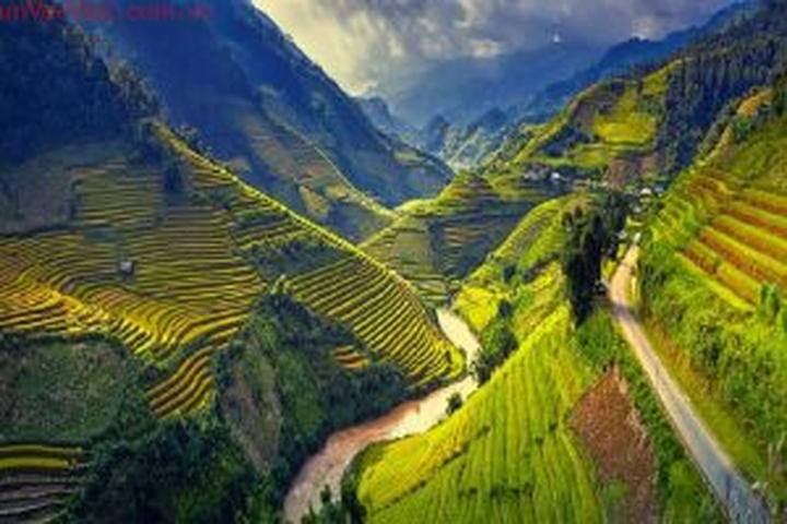 Xu hướng Ngoại hình gây sốc tột độ của: Hotspot Matrix tiết lộ bí quyết video viral